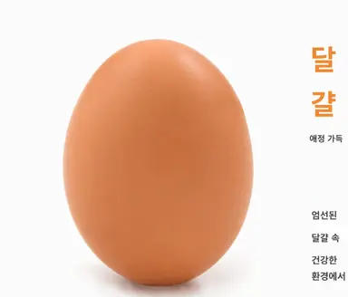 Profile image of 달걀