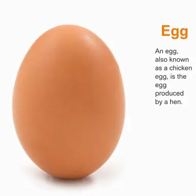 Profile image of Egg