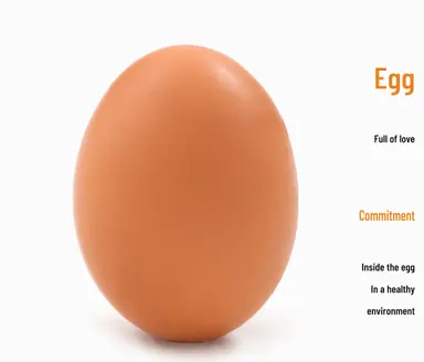 Profile image of Egg