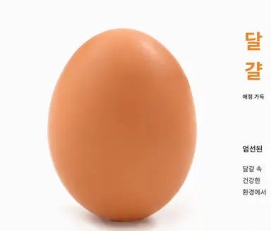 Profile image of 달걀