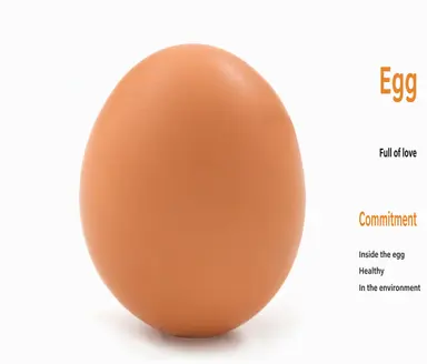 Profile image of Egg