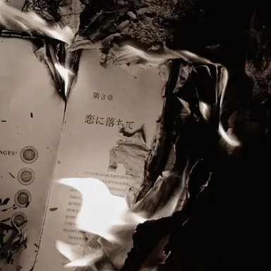 Profile image of ハビル