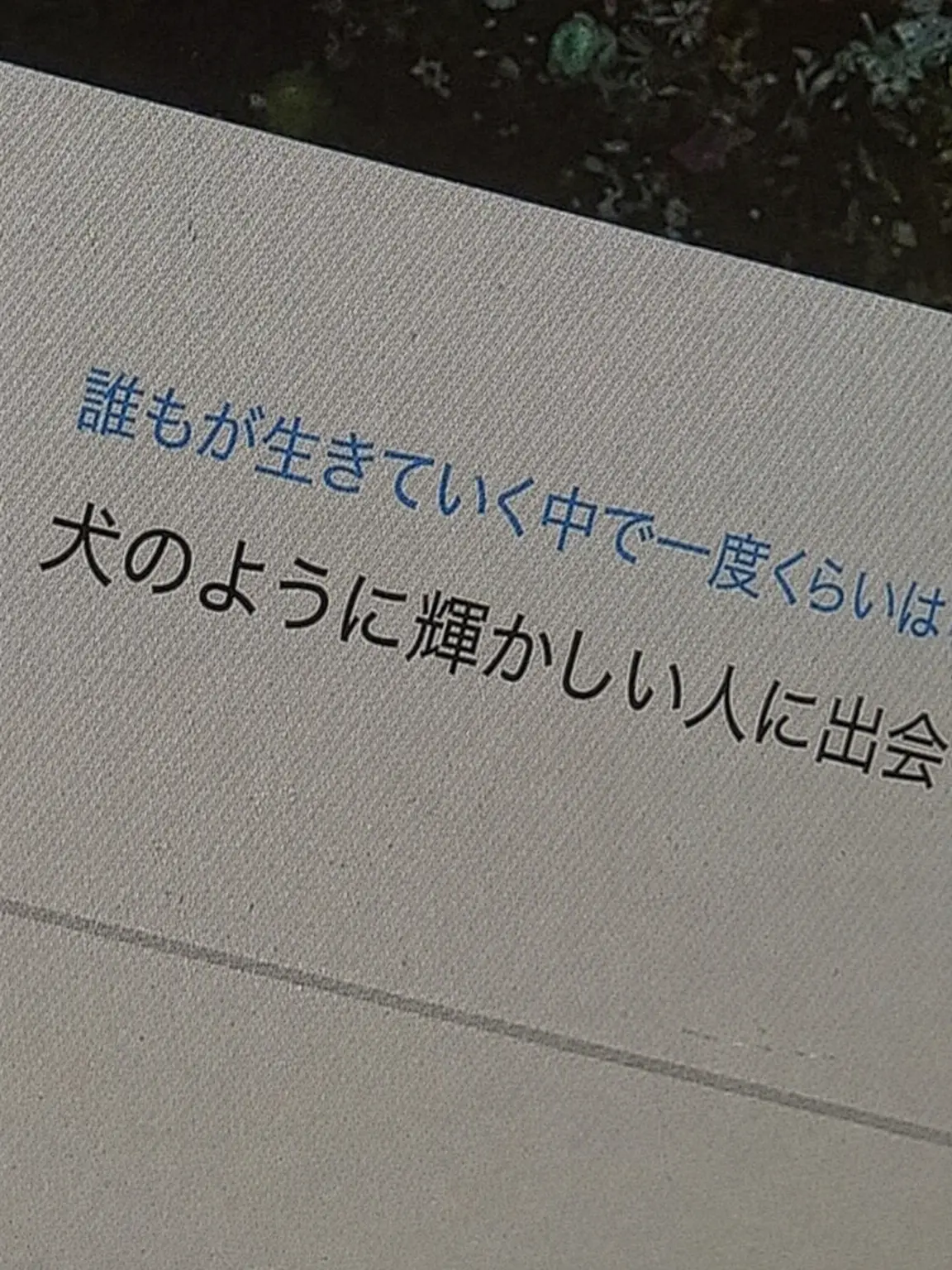 RUR_KA_666의 獣人ランク能力高校