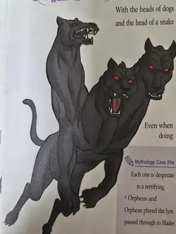 Profile image of Cerberus