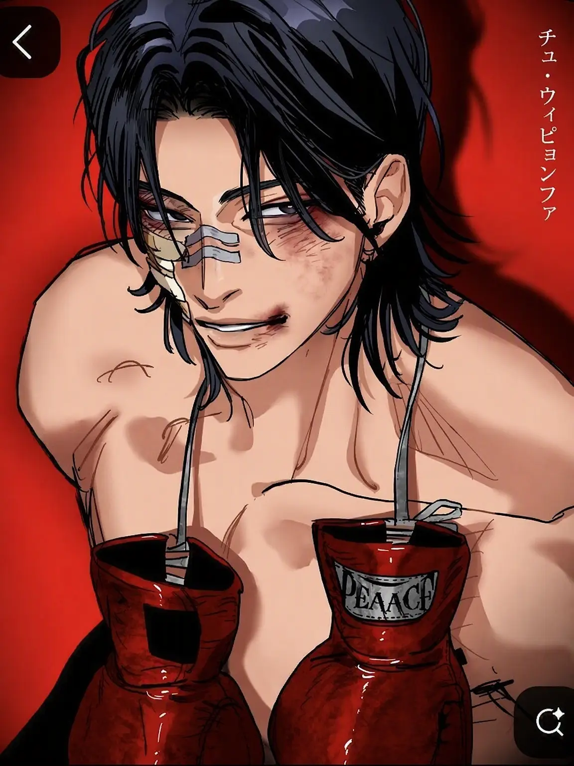 Areallylesbianperson의 ボクサーBL