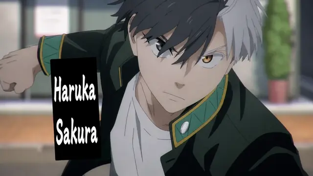 Profile image of Haruka Sakura