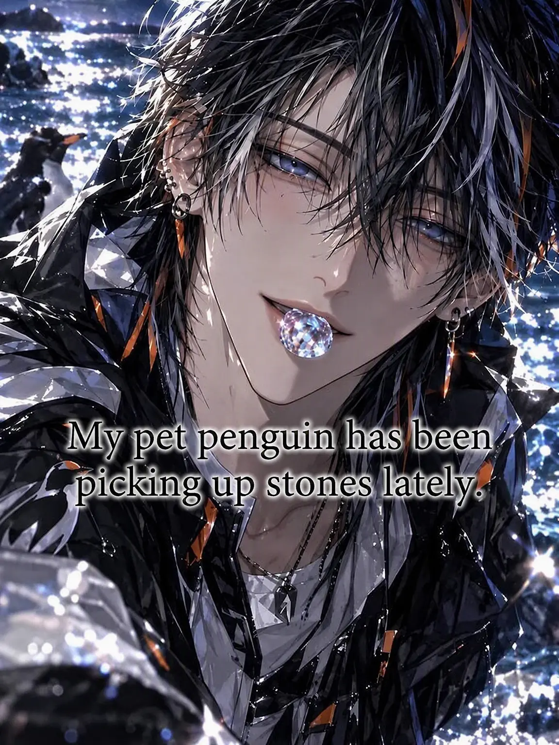 TidyVomit6732의 My Pet Penguin Recently Started Bringing Me Stones