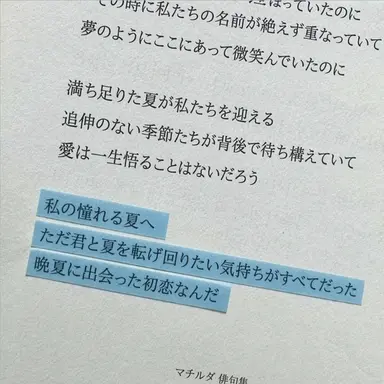 Profile image of ティル