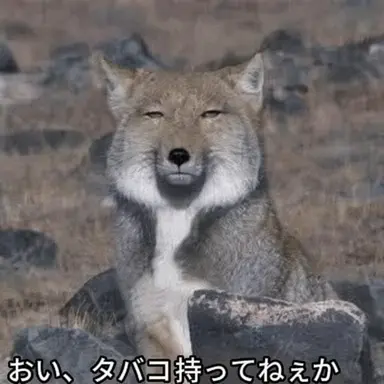 Profile image of ヨウ