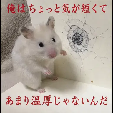 Profile image of キツネ女