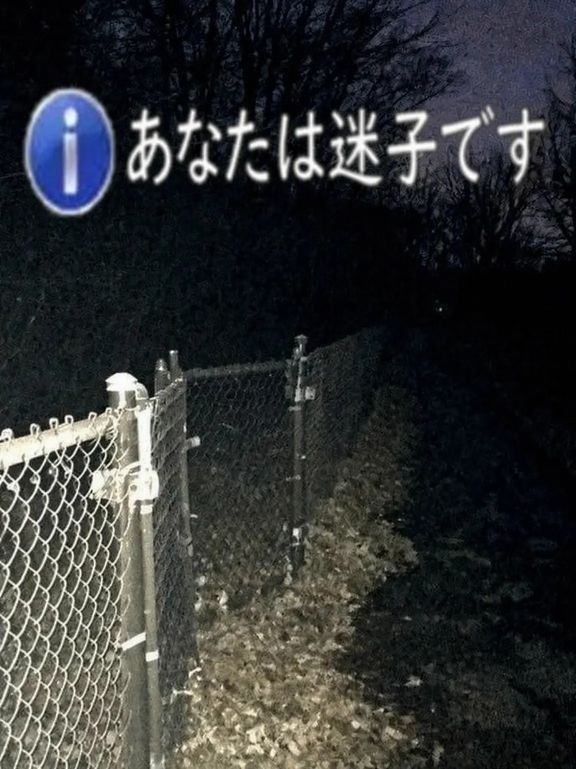 Aube_의 運命の相手探し