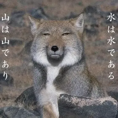 Profile image of 醜い狼