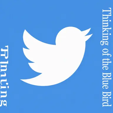 Profile image of Blue Bird X
