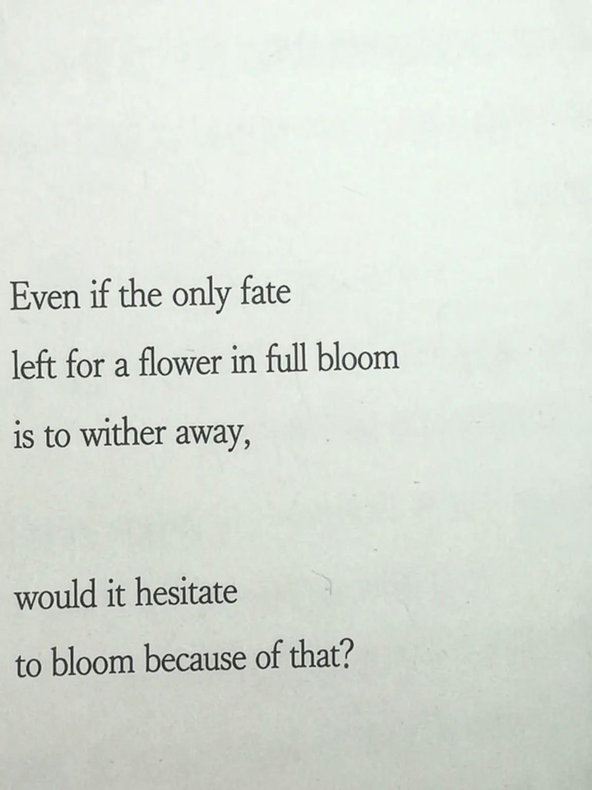 Kiraizuru의 Falling Flowers, Flowing Water