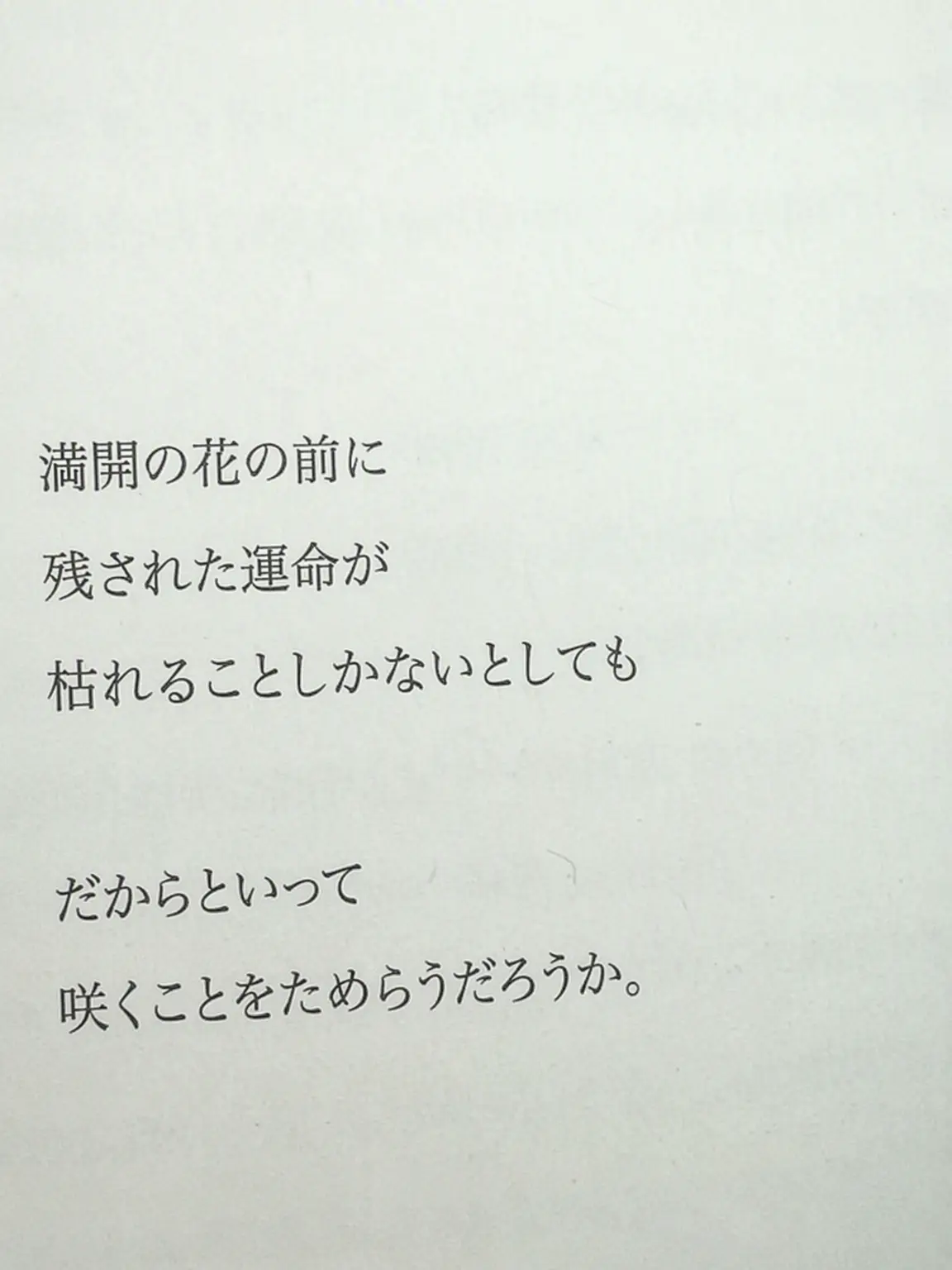 Kiraizuru의 落花流水