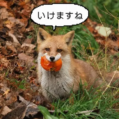 Profile image of キツネ