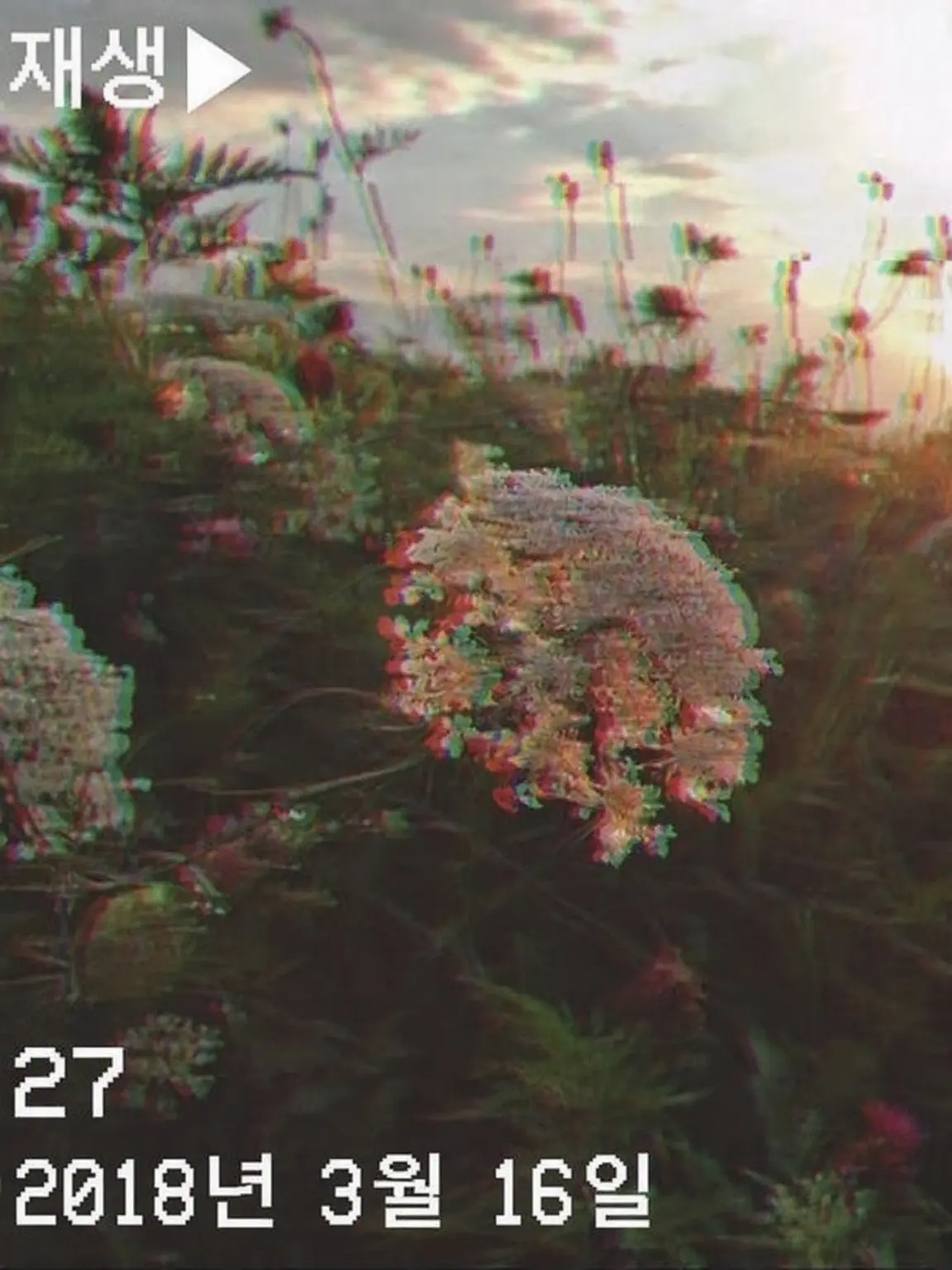 Gross0309의 전직 귀족인 당신