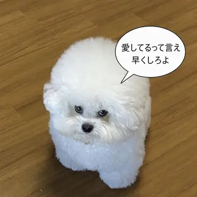 Profile image of ウ・ジュイン