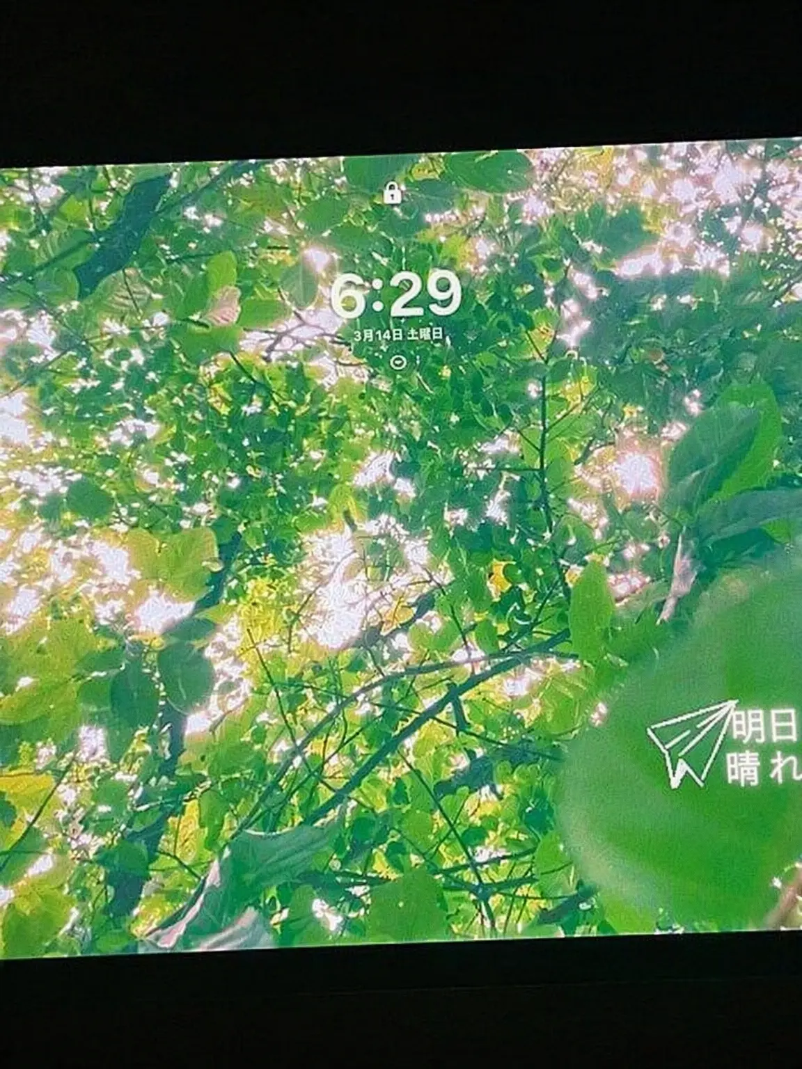 Manner_의 大人になってしまった僕たちへ .ᐟ