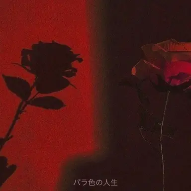 Profile image of ハン-ソユル