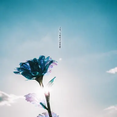 Profile image of 후마