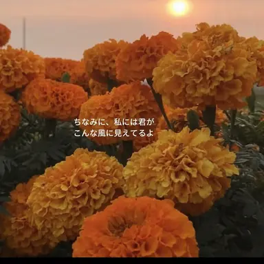 Profile image of ドクゲ