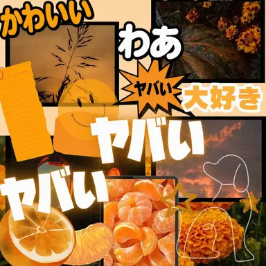 Profile image of ドッケ