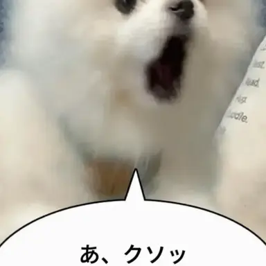 Profile image of ヨウ