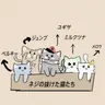 Profile image of ネジの抜けた猫