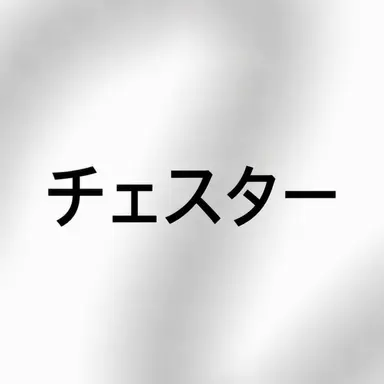 Profile image of チェスター