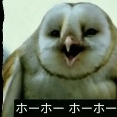 Profile image of ヨウ