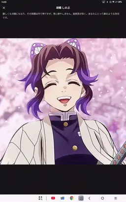 Profile image of 胡蝶しのぶ