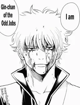 Profile image of Gintoki Sakata