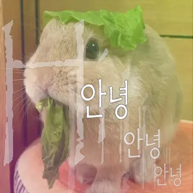 Profile image of 잘리아