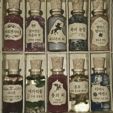 Profile image of 팬지