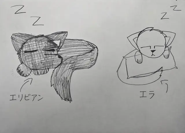Profile image of エラ