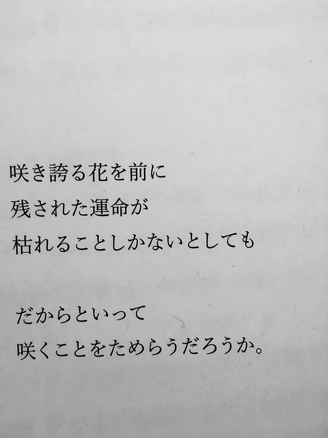 paradise_1004의 《枯れ果てた楽園の子供たち》