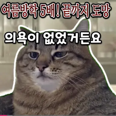 Profile image of 귀찮은 고양이