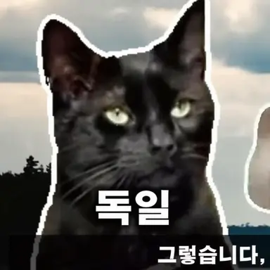 Profile image of 손톱깎이 고양이