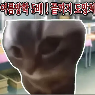 Profile image of 치피차파 고양이