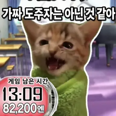 Profile image of 담요 고양이