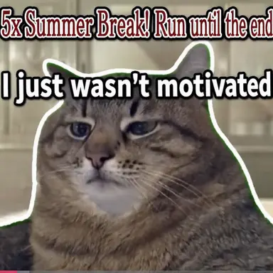 Profile image of Annoyed Cat