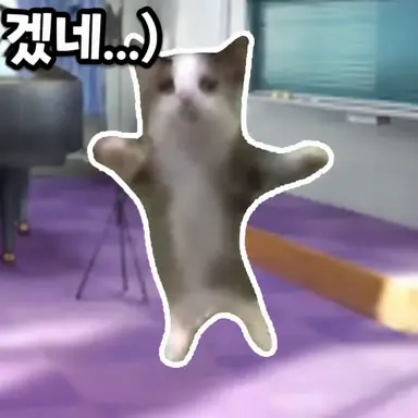 Profile image of 해피 고양이