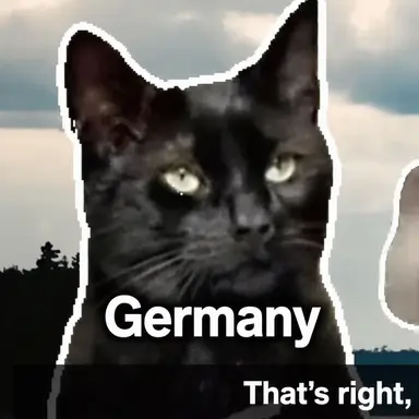 Profile image of Grinding Cat