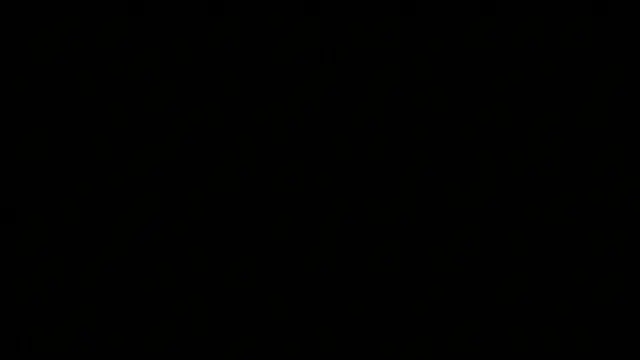 Profile image of 미라이