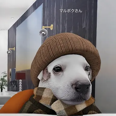 Profile image of マルボク