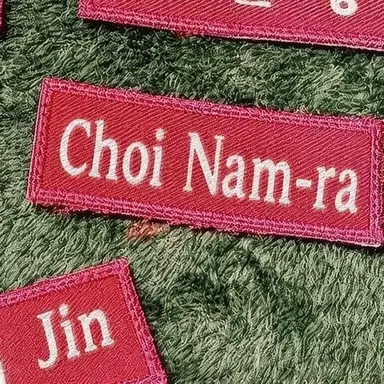 Profile image of Choi Nam-ra
