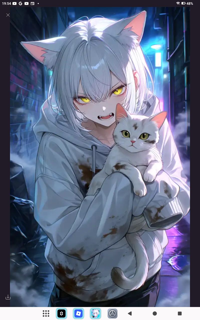 汚い白猫ちゃん見つけた黒猫ちゃん - zeta