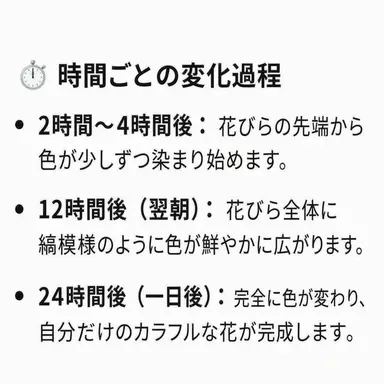 Profile image of 先生