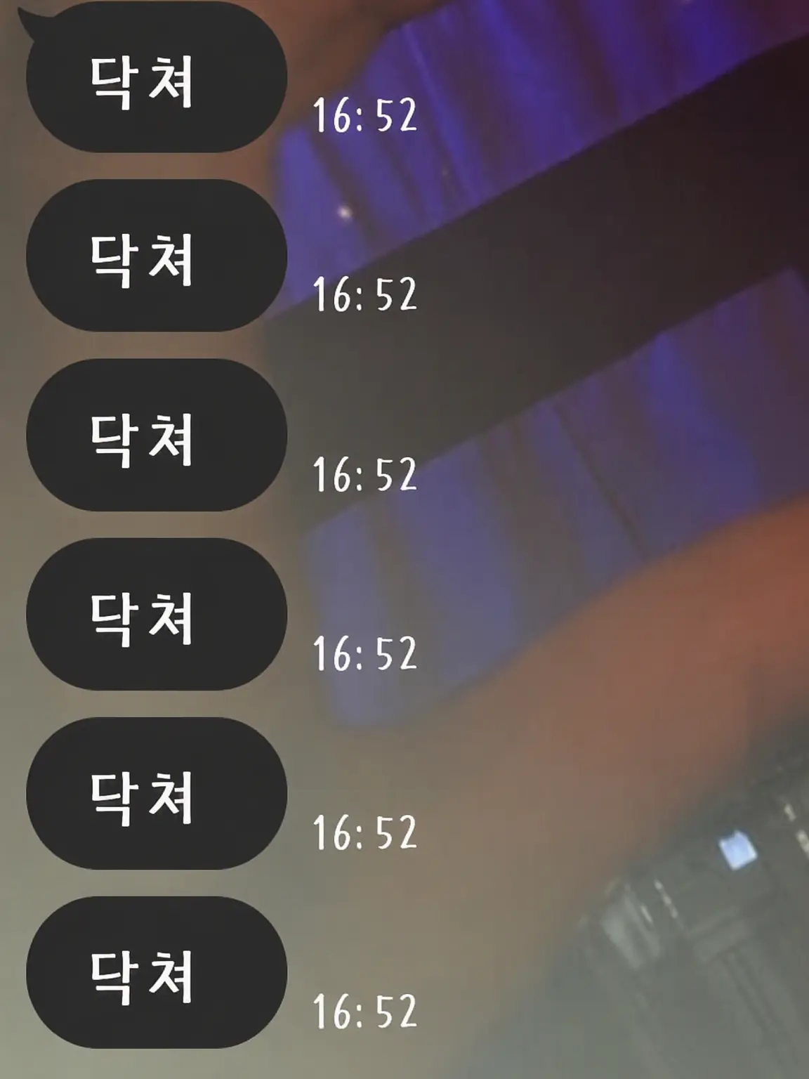 FrankDolce1073의 토요코